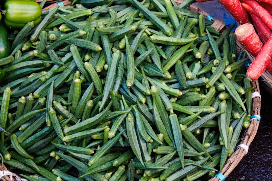 Maize